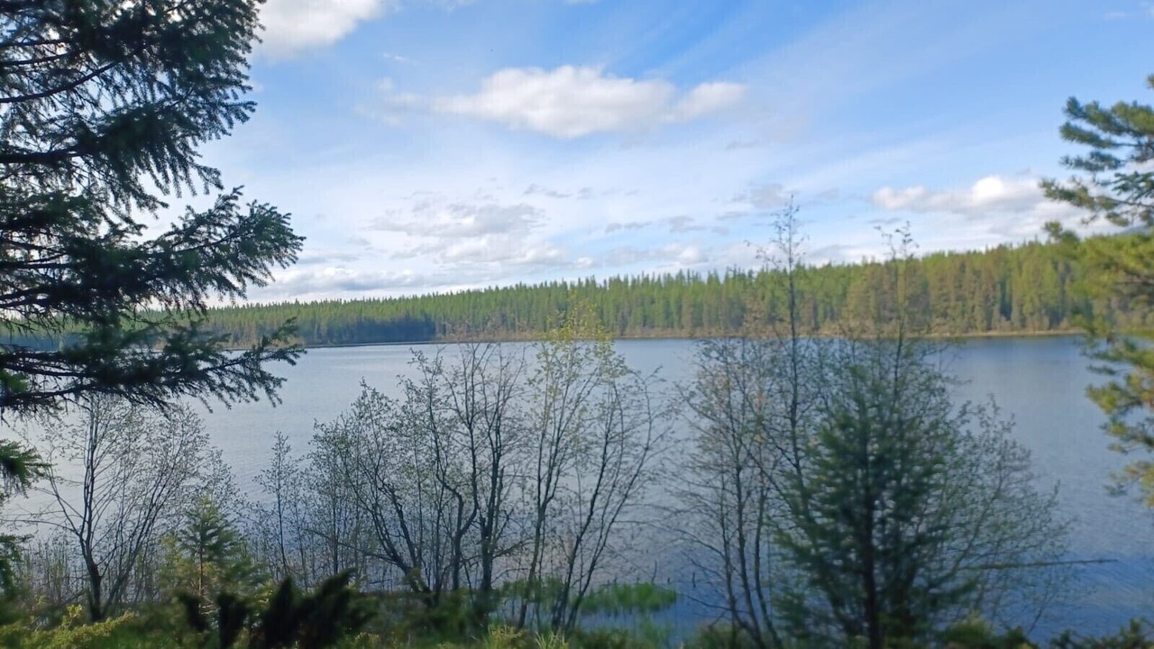 Photo of Others in Olney