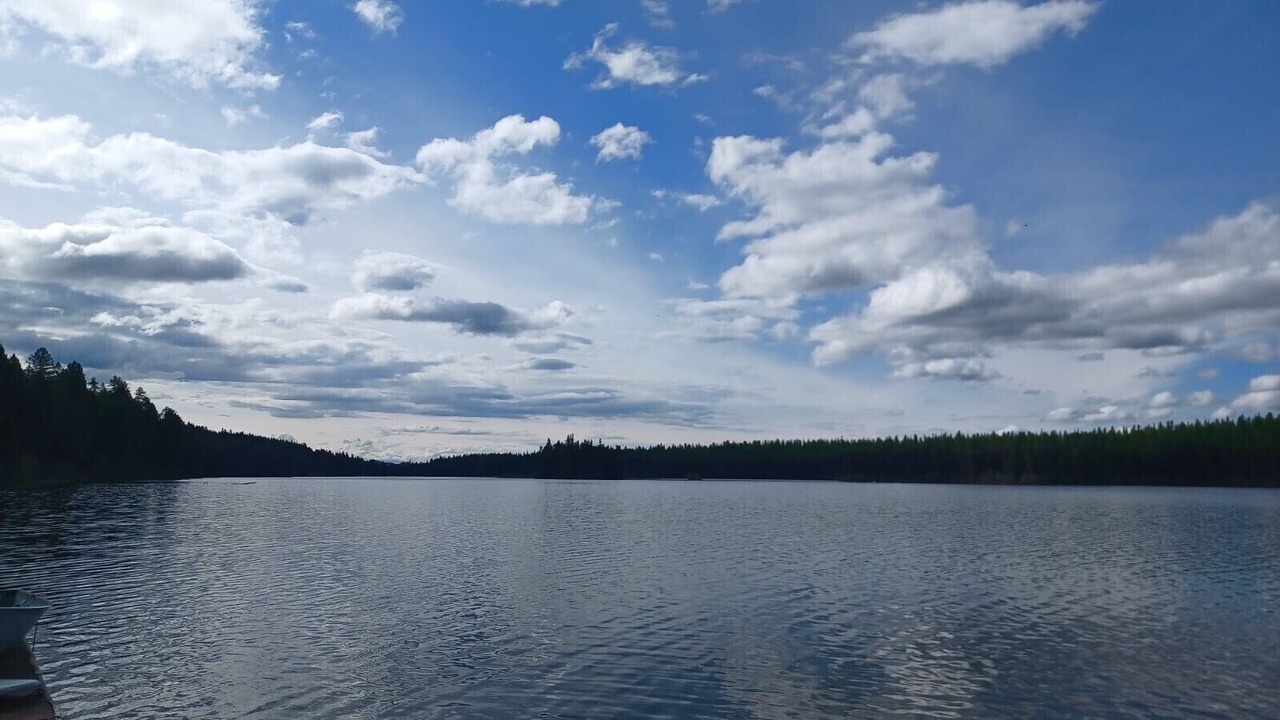 Photo of Others in Olney