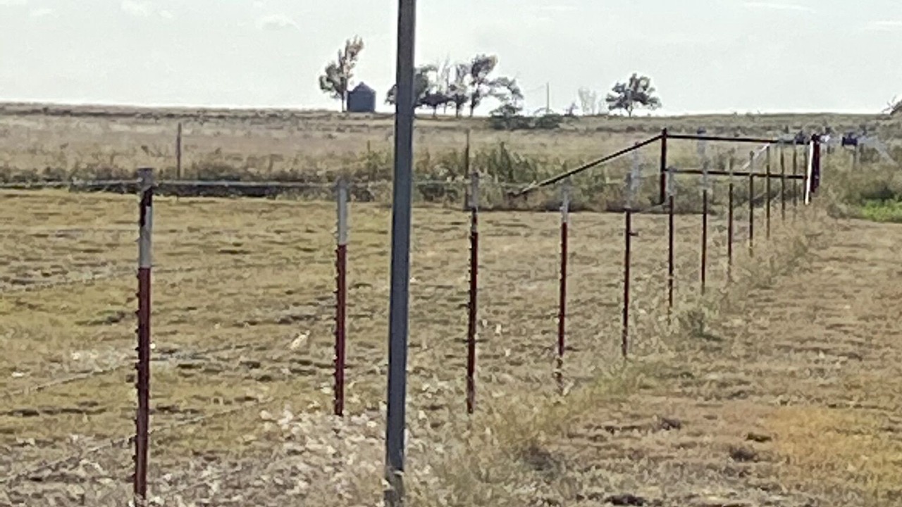 Photo of Others in Wheeler