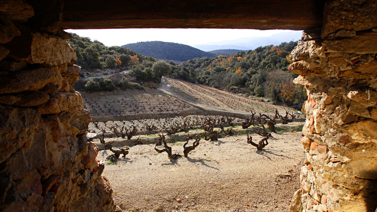 Photo of Outdoor in Belesta