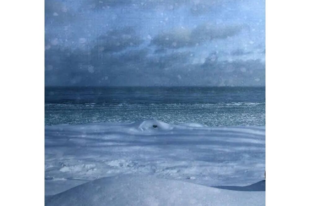 Photo of Others in Northern Bruce Peninsula