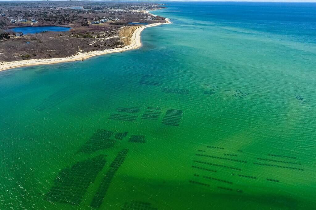 Photo of Outdoor in West Dennis