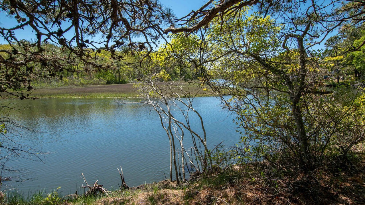 Photo of Others in West Dennis