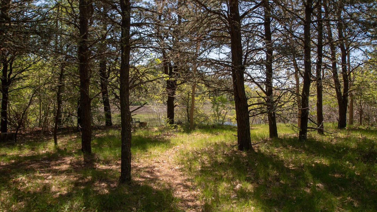 Photo of Others in West Dennis