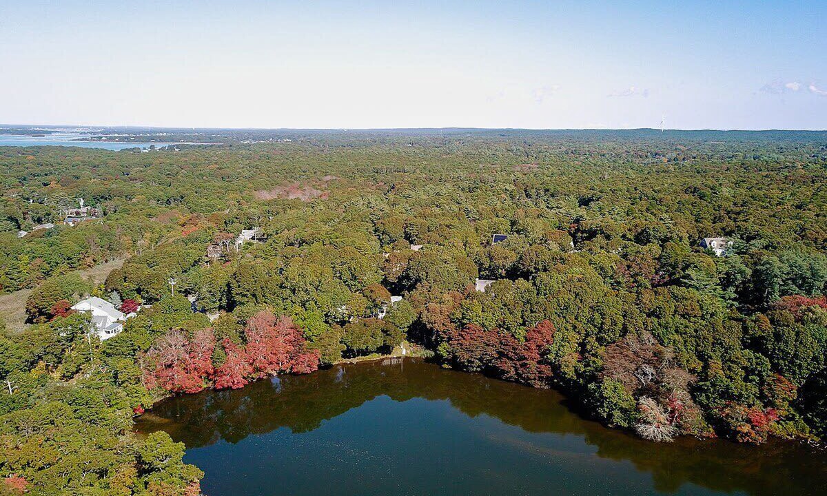 Photo of Outdoor in North Falmouth