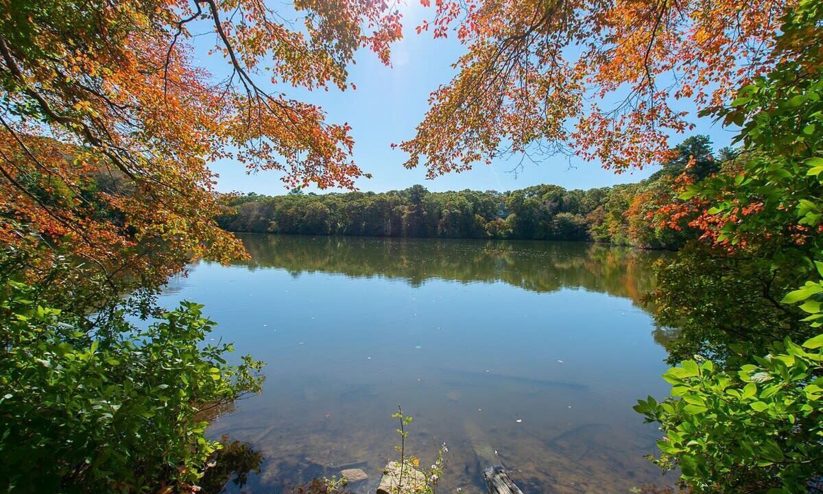 Photo of Outdoor in North Falmouth