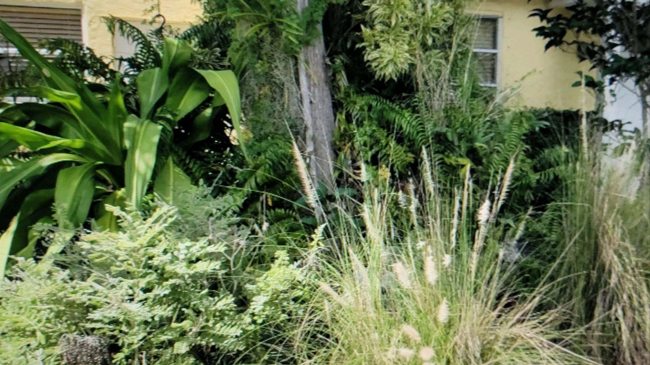 Photo of Outdoor in South Palm Park Neighborhood Association