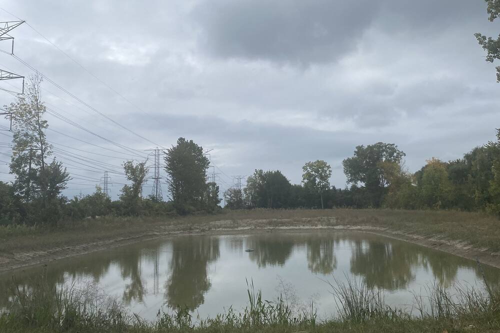 Photo of Outdoor in Canton