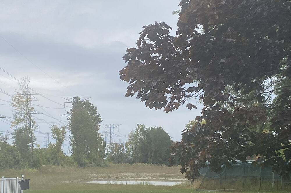 Photo of Others in Canton
