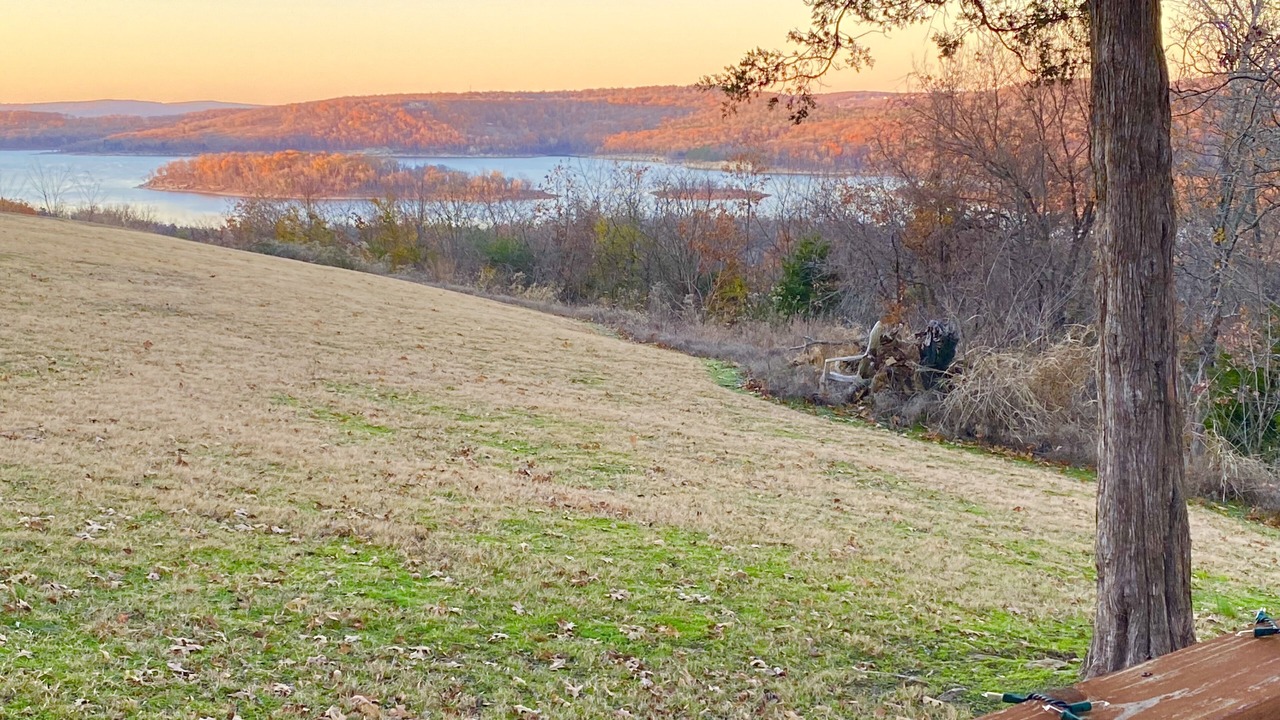 Photo of Outdoor in Pettit