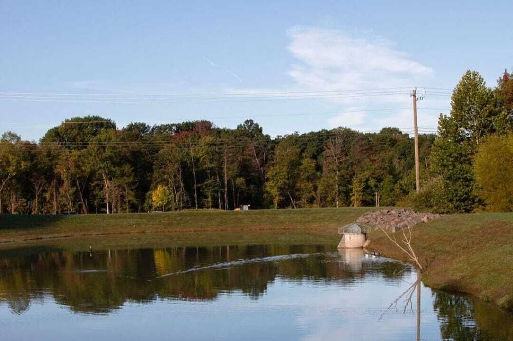 Photo of Others in Ashburn