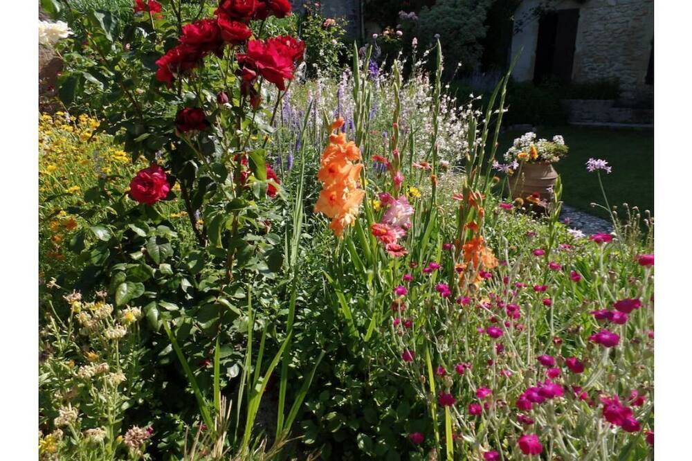 Photo of Others in Sommieres