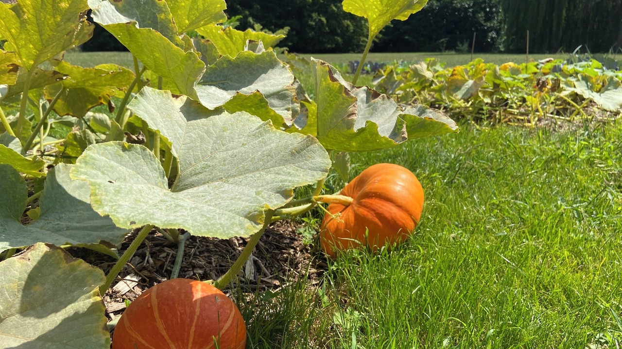 Photo of Outdoor in Paray-le-Monial