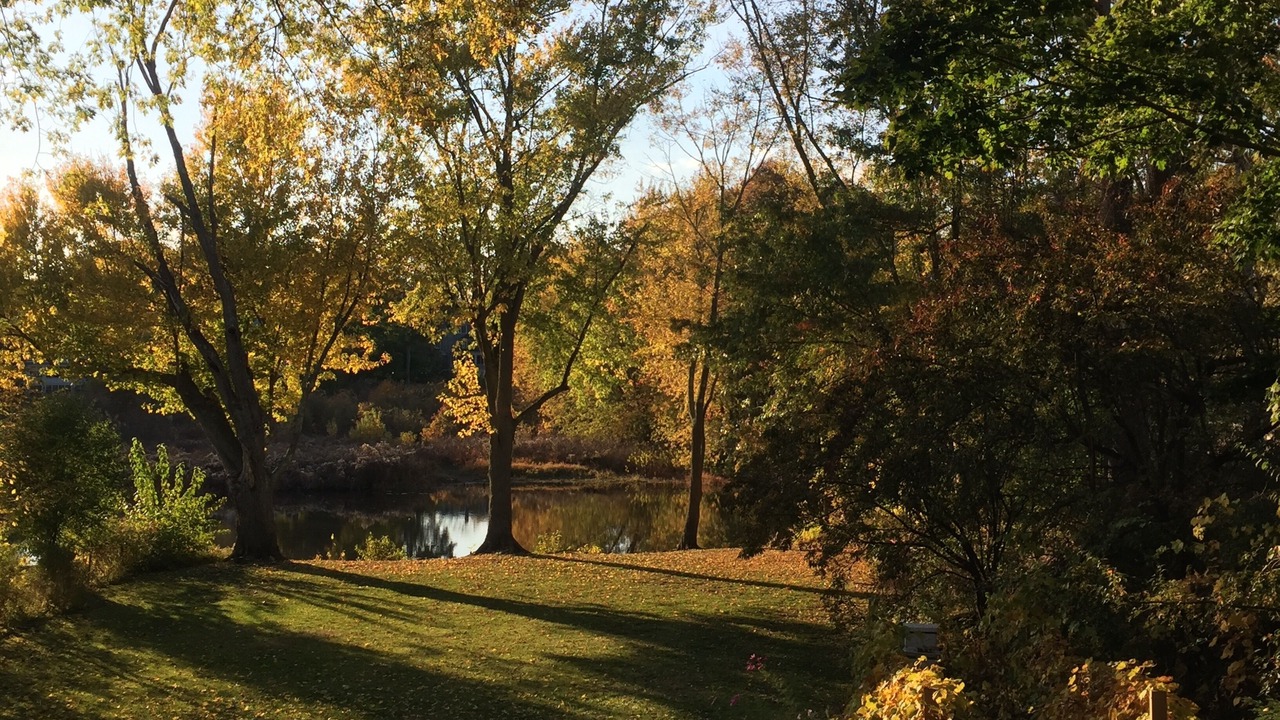 Photo of Outdoor in Concord