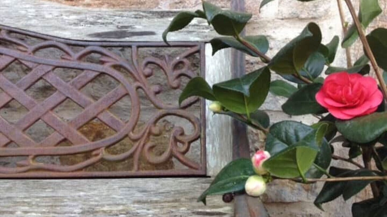 Photo of Outdoor in Portobello