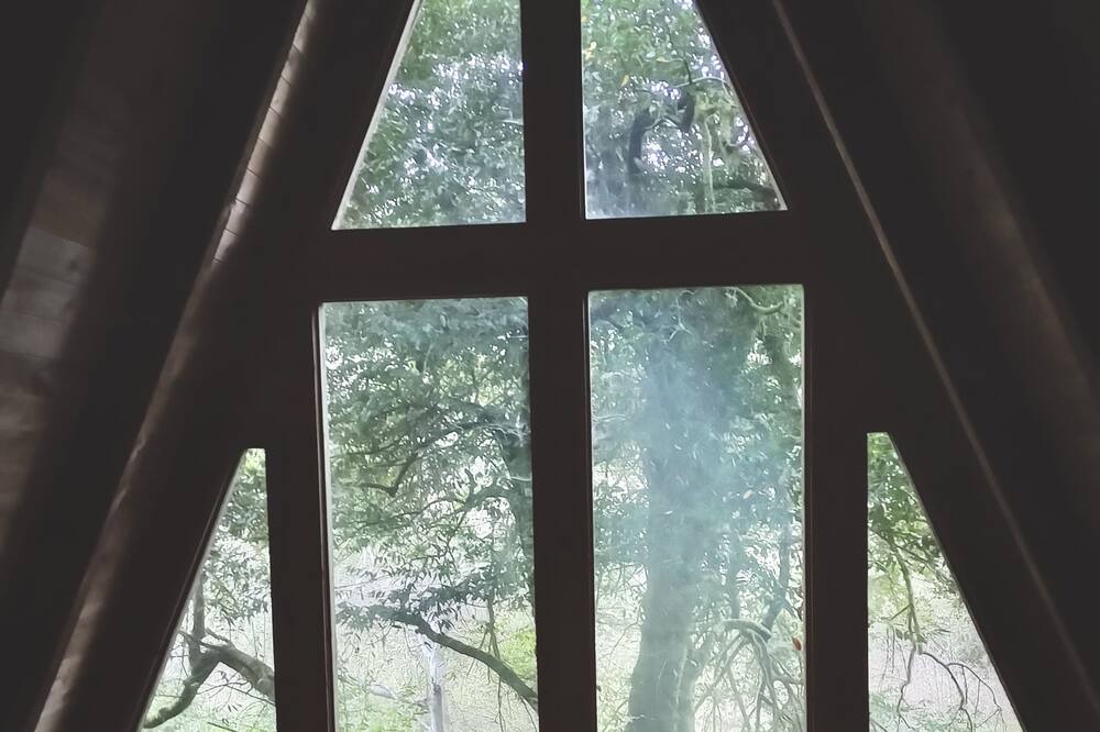 Photo of Others in Brookings