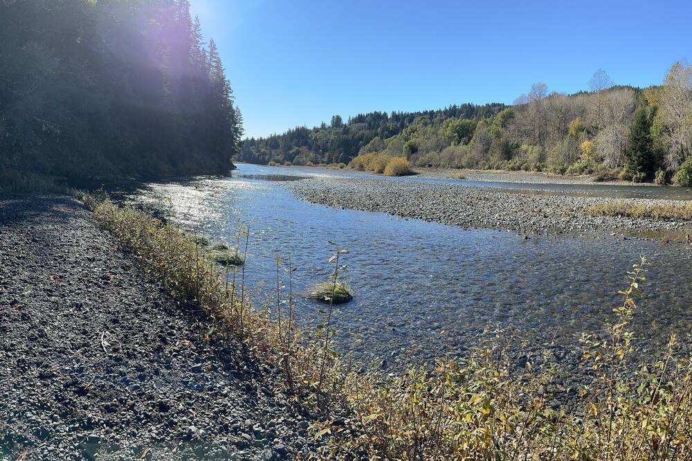 Photo of Others in Brookings