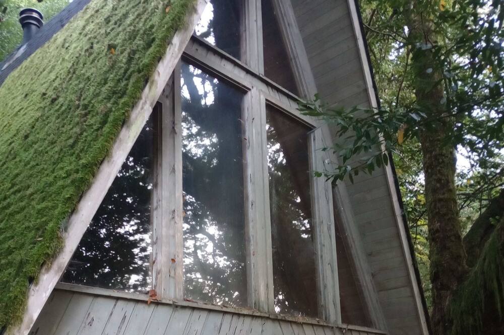 Photo of Outdoor in Brookings