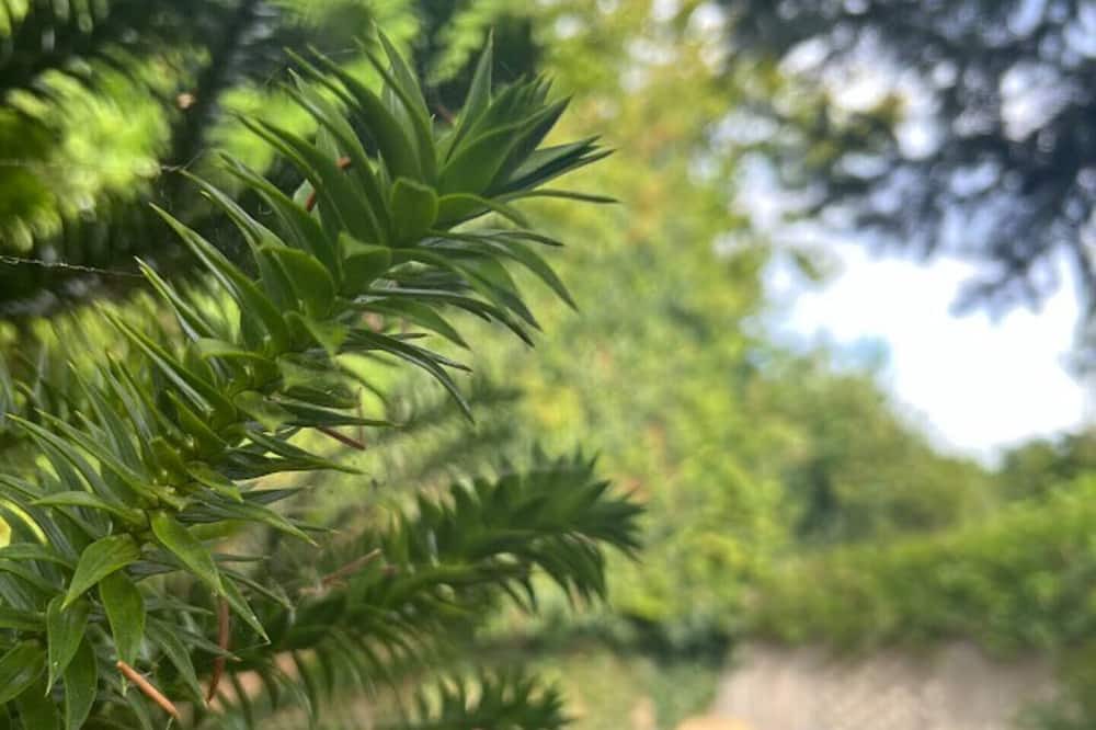 Photo of Others in Sedlescombe