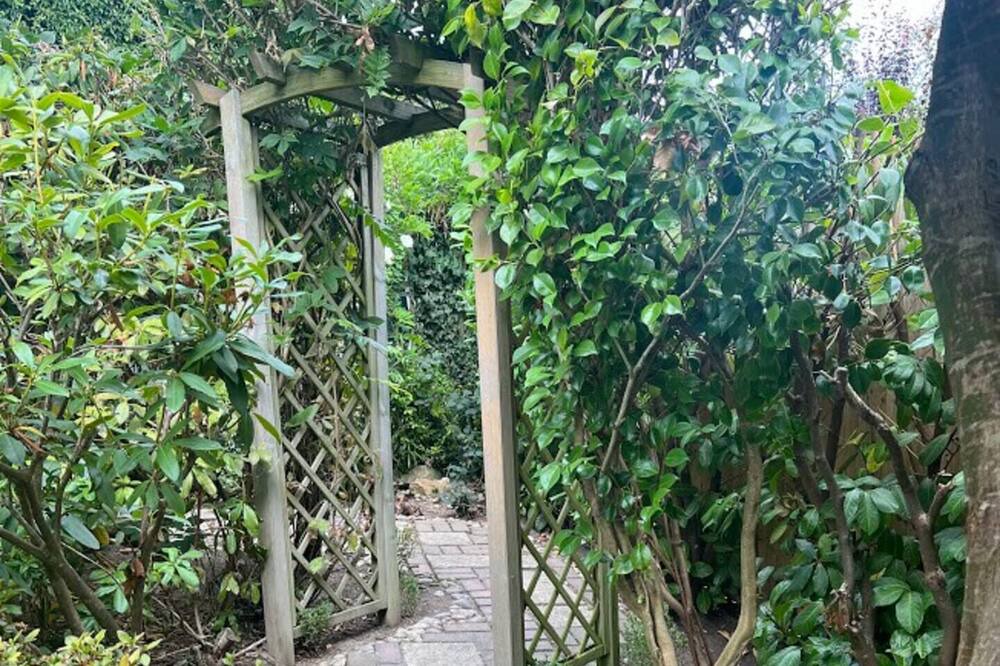 Photo of Outdoor in Sedlescombe