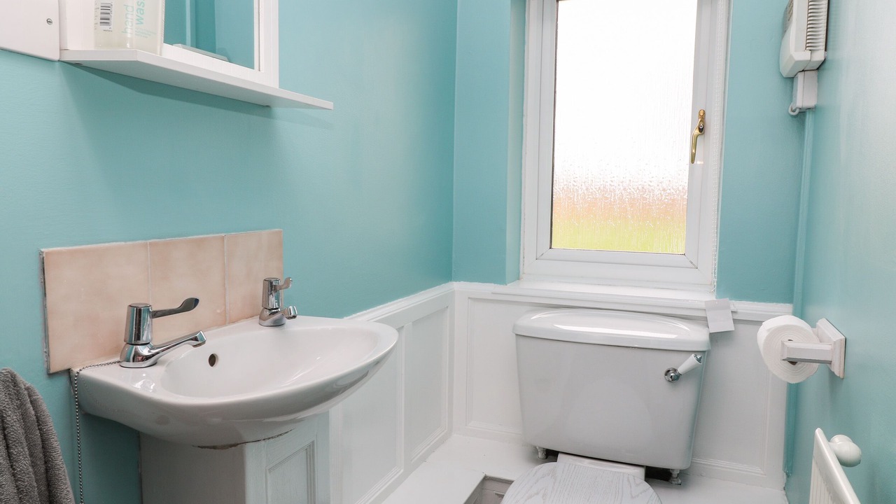 Photo of Others in Cranmore