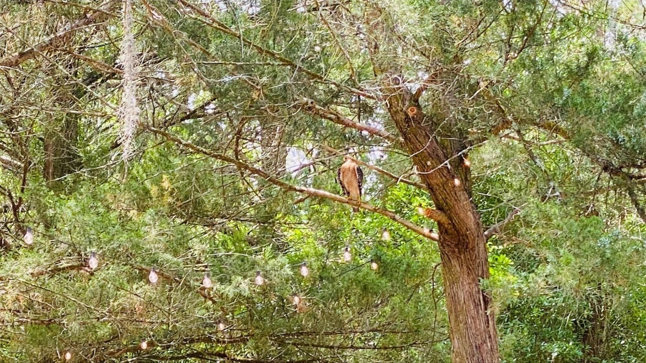 Photo of Others in Eustis