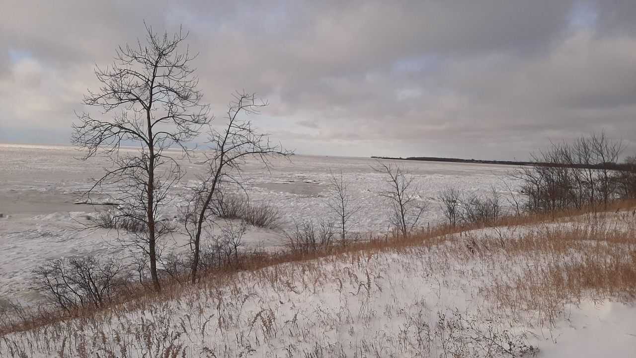 Photo of Outdoor in Grand Beach