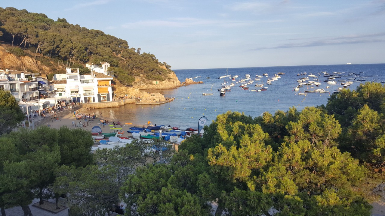 Photo of Others in Vall-Llobrega