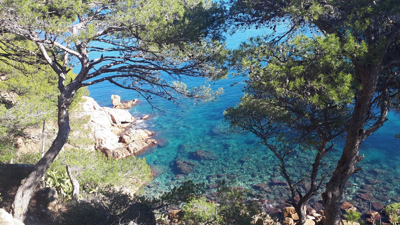 Photo of Others in Vall-Llobrega