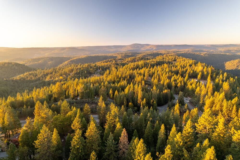 Photo of Outdoor in Iowa Hill