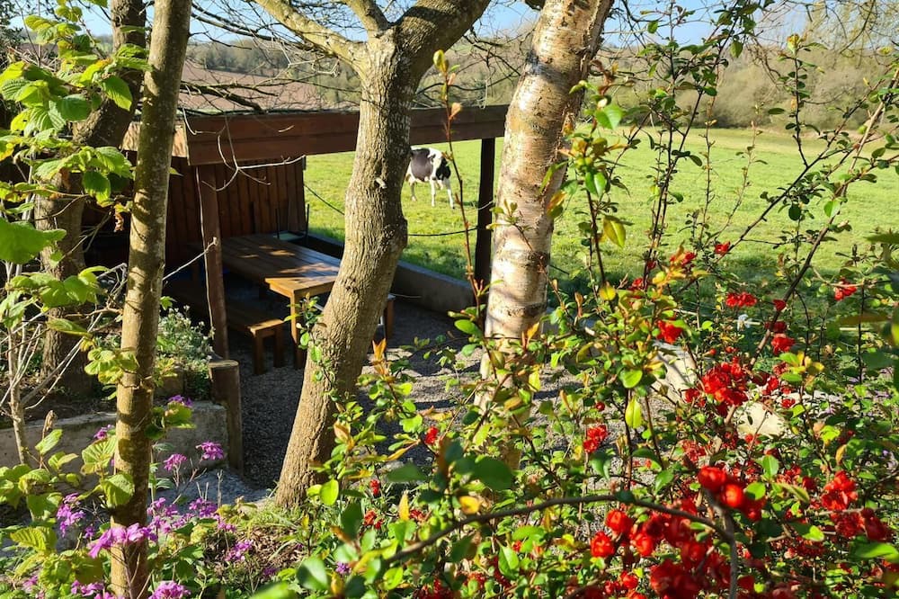 Photo of Others in Plesidy