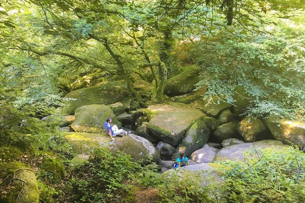 Photo of Others in Plesidy