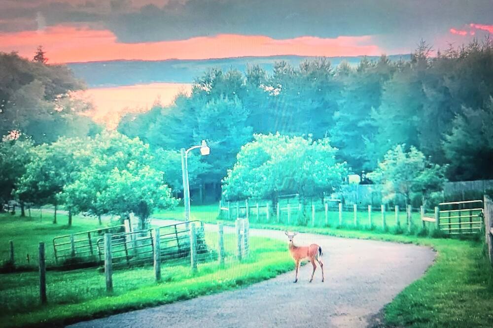 Photo of Others in Skaneateles