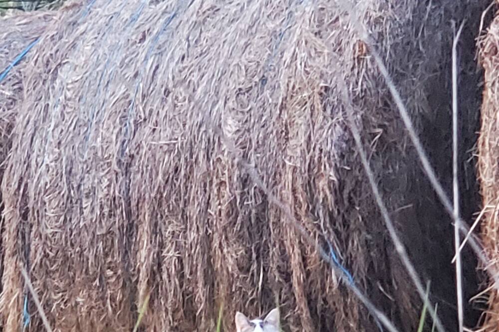 Photo of Outdoor in Gourdon