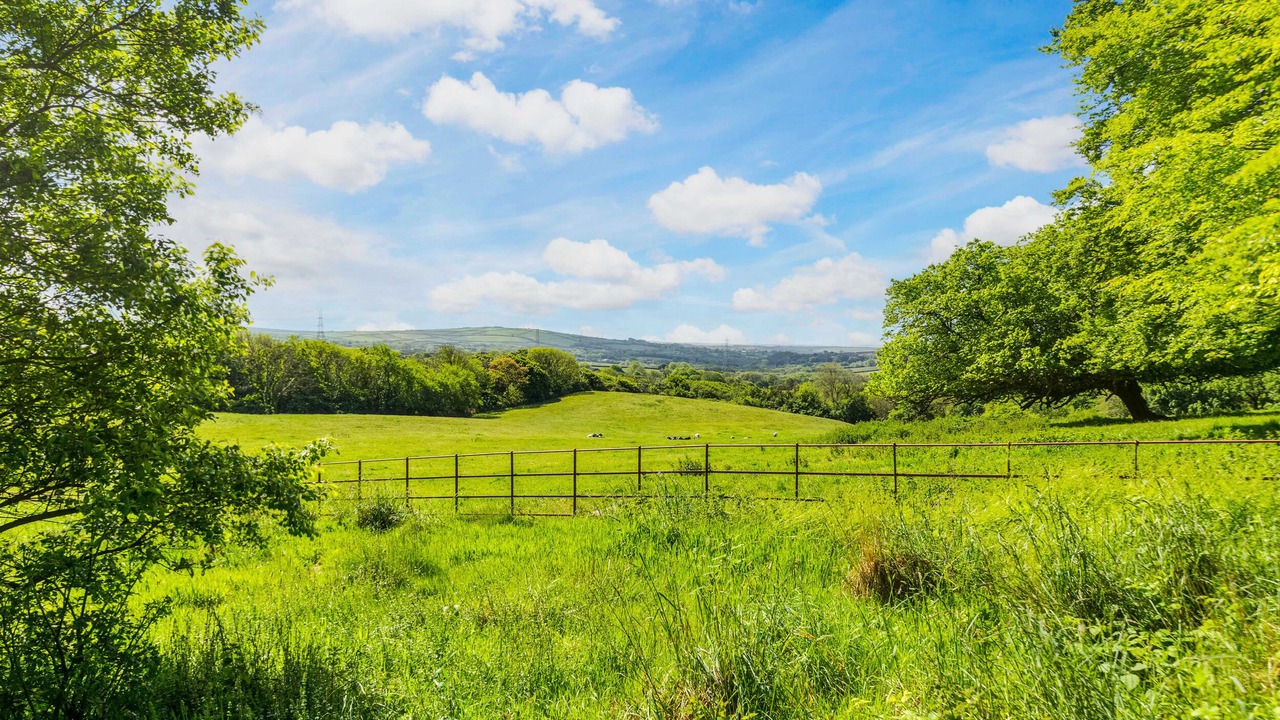 Photo of Others in Delabole