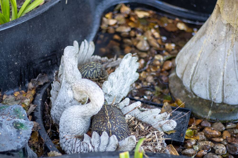 Photo of Others in Waldo