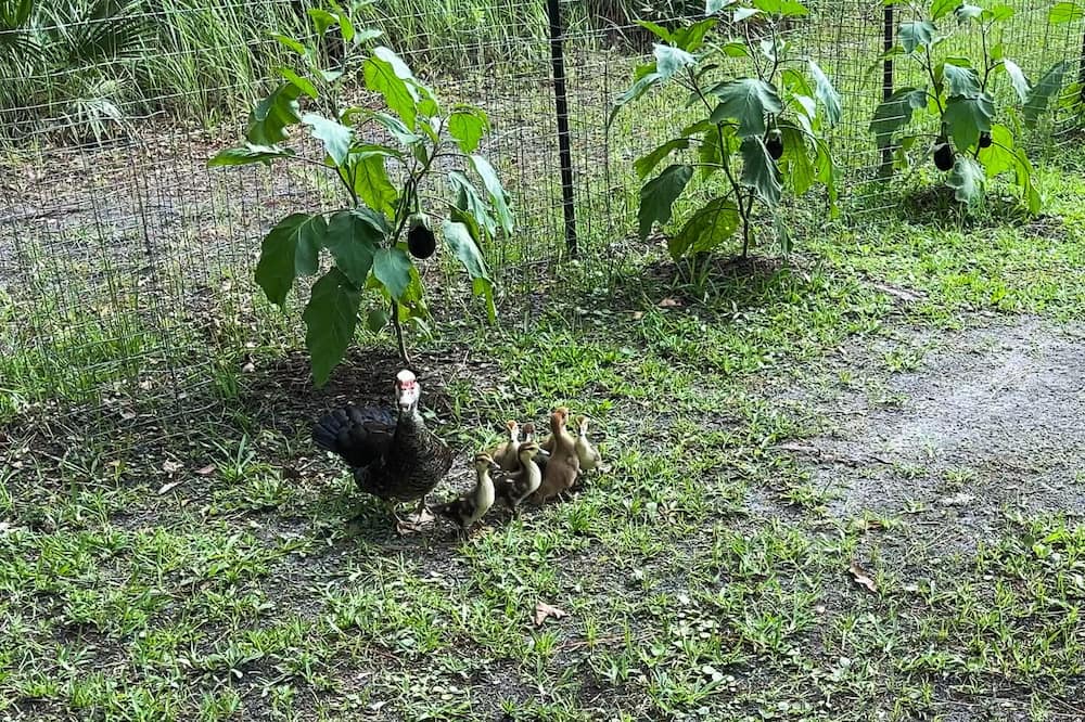 Photo of Outdoor in Waldo