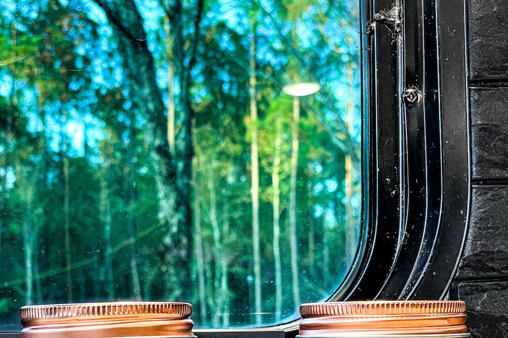 Photo of Others in Waldo