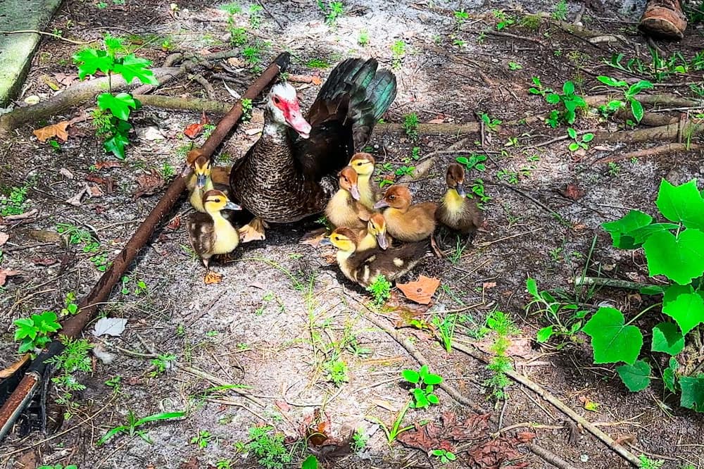 Photo of Outdoor in Waldo