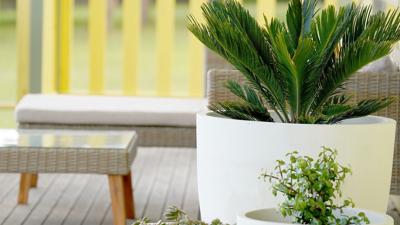 Photo of Outdoor in Bolwarra