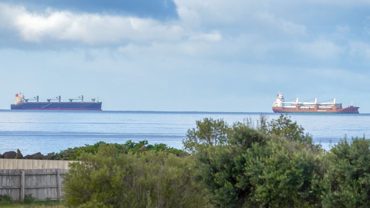 Photo of Others in Bolwarra