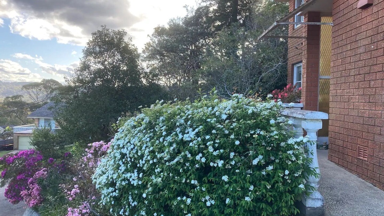 Photo of Outdoor in Mona Vale