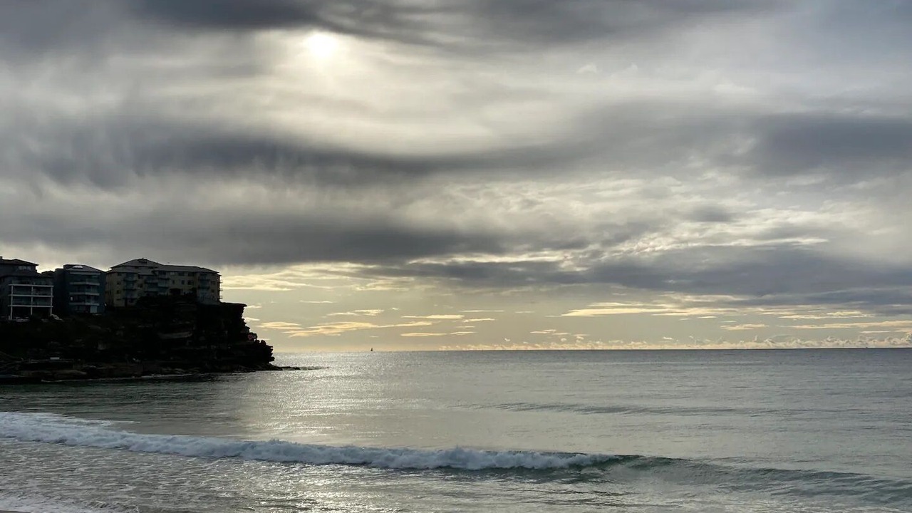 Photo of Others in Mona Vale