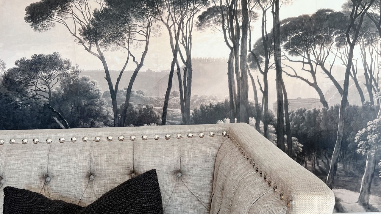Photo of Outdoor in Sanguinet