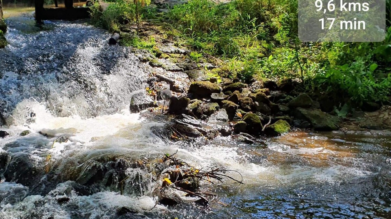 Photo of Outdoor in La Foeil