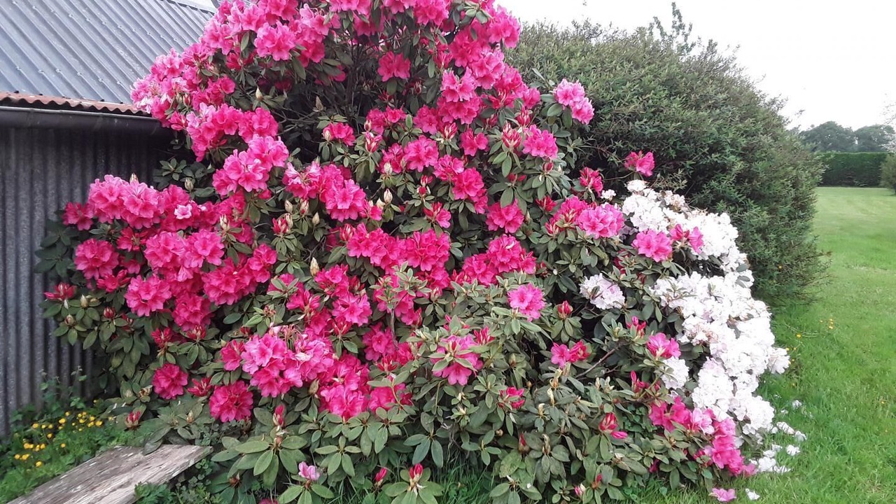 Photo of Outdoor in La Foeil