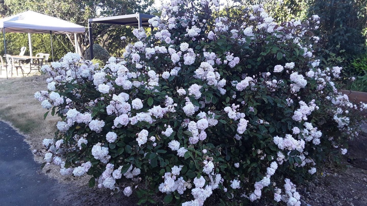 Photo of Outdoor in La Foeil