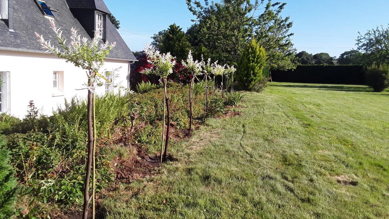 Photo of Outdoor in La Foeil