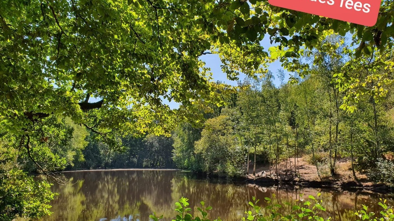 Photo of Outdoor in La Foeil