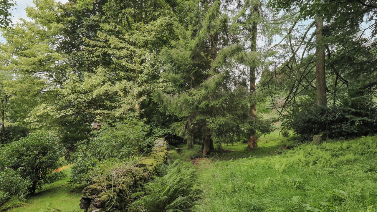 Photo of Others in Ambleside